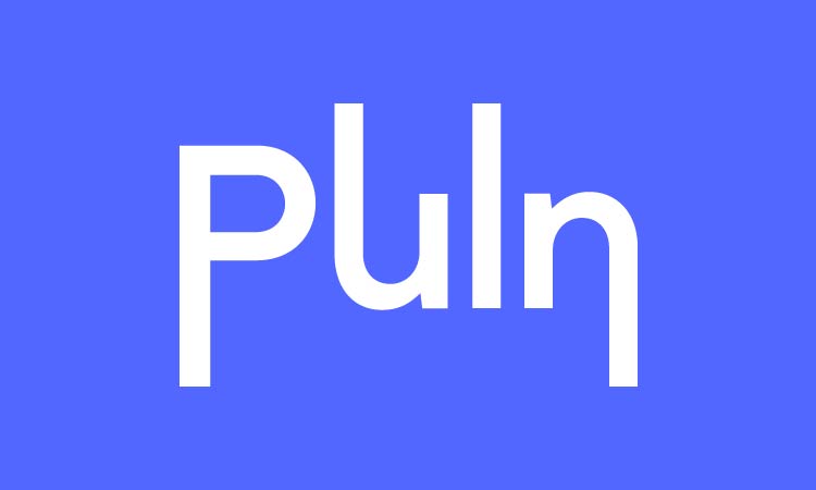 Puln.com - buy Best premium names
